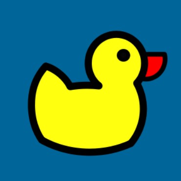 www.duckdns.org